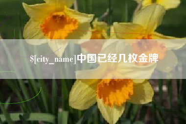 吉安中国已经几枚金牌