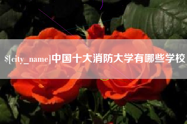 吉安中国十大消防大学有哪些学校