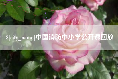 吉安中国消防中小学公开课回放