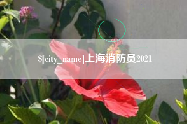 吉安上海消防员2021