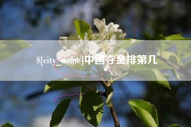 吉安中国夺金排第几