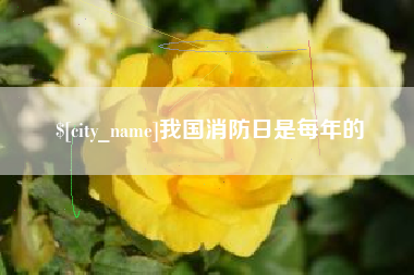 吉安我国消防日是每年的
