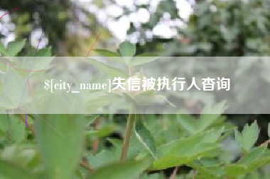 吉安失信被执行人杳询
