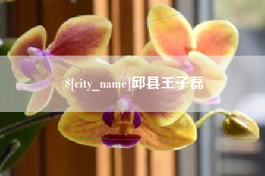 吉安邱县王子磊