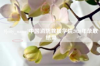 吉安中国消防救援学院2020年录取结果