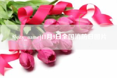 吉安11月9日全国消防日图片