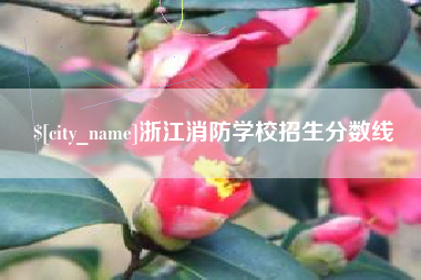 吉安浙江消防学校招生分数线