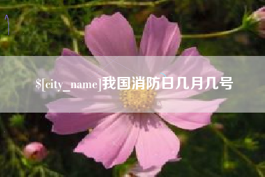 吉安我国消防日几月几号