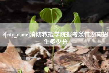 吉安消防救援学院报考条件湖南招生多少分