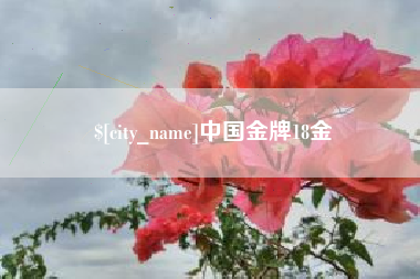吉安中国金牌18金