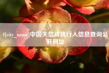 吉安中国失信被执行人信息查询公开网址