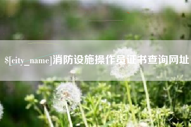 吉安消防设施操作员证书查询网址