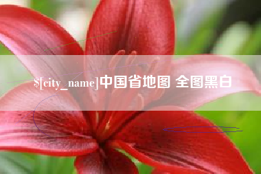 吉安中国省地图 全图黑白