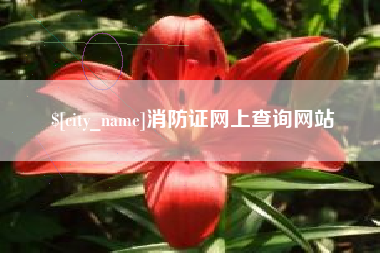 吉安消防证网上查询网站