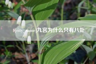 吉安九宫为什么只有八卦