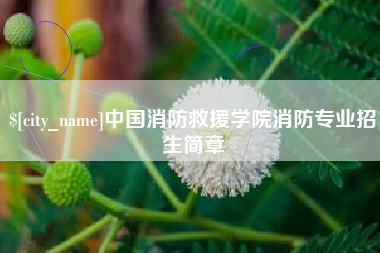吉安中国消防救援学院消防专业招生简章
