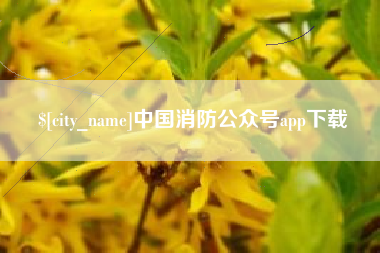 吉安中国消防公众号app下载