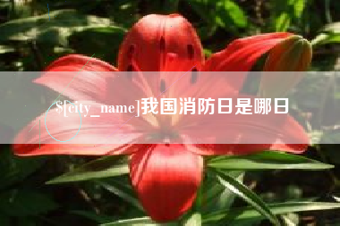 吉安我国消防日是哪日
