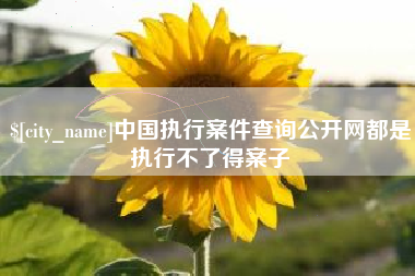 吉安中国执行案件查询公开网都是执行不了得案子