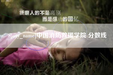 吉安中国消防救援学院 分数线