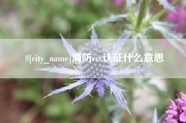 吉安消防ccc认证什么意思