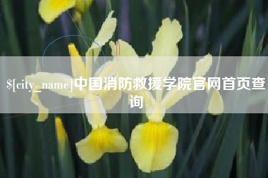 吉安中国消防救援学院官网首页查询