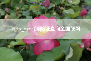 吉安消防证查询全国联网