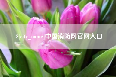 吉安中国消防网官网入口
