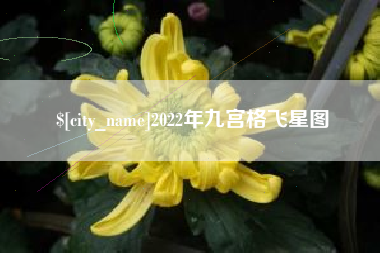吉安2022年九宫格飞星图