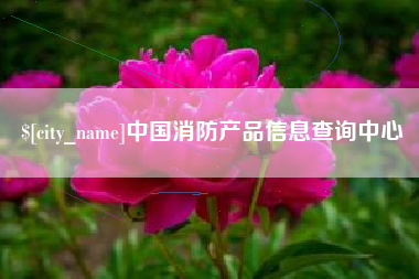 吉安中国消防产品信息查询中心