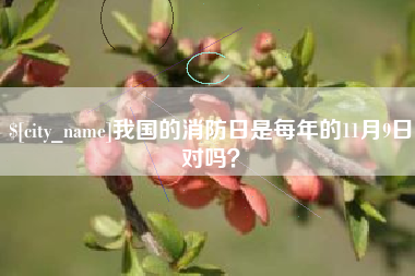 吉安我国的消防日是每年的11月9日对吗？