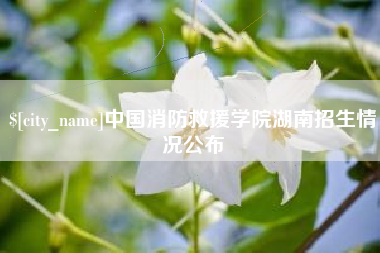吉安中国消防救援学院湖南招生情况公布