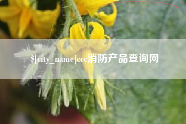 吉安ccc消防产品查询网