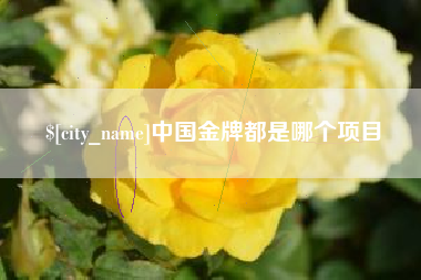 吉安中国金牌都是哪个项目