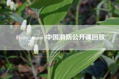 吉安中国消防公开课回放