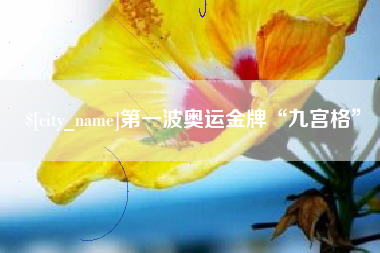 吉安第一波奥运金牌“九宫格”
