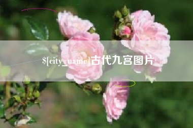 吉安古代九宫图片