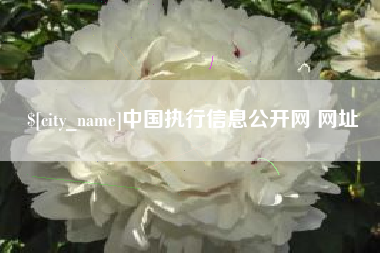 吉安中国执行信息公开网 网址