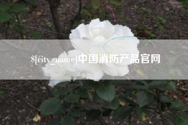 吉安中国消防产品官网