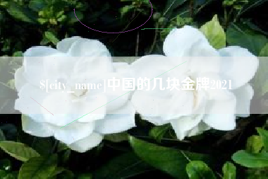 吉安中国的几块金牌2021