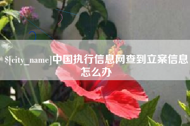 吉安中国执行信息网查到立案信息怎么办