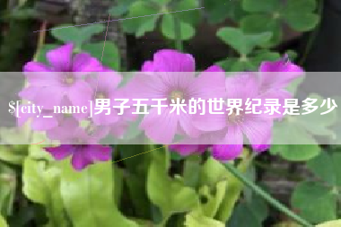 吉安男子五千米的世界纪录是多少