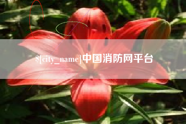 吉安中国消防网平台