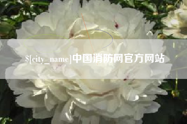 吉安中国消防网官方网站