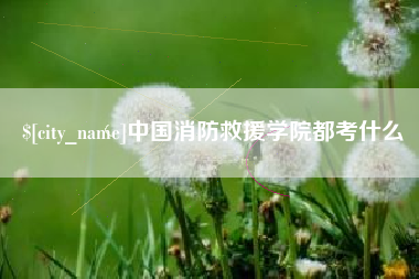 吉安中国消防救援学院都考什么