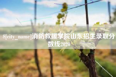 吉安消防救援学院山东招生录取分数线2020