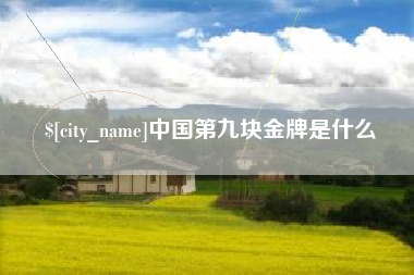 吉安中国第九块金牌是什么