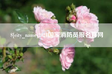 吉安2021国家消防员报名官网