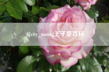 吉安王子豪百科