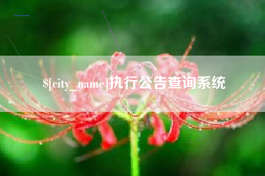 吉安执行公告查询系统